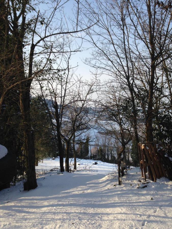 Villa 225 Bracciano  Esterno foto